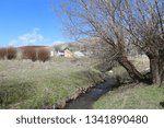 a stream with trees and huts 