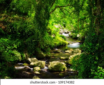 Stream in the tropical forest. - Powered by Shutterstock