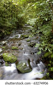 Stream in tropical forest