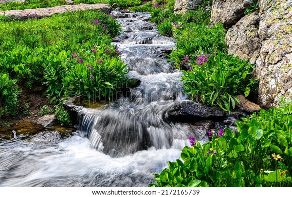 The stream turns into\
a small waterfall. Cold creek in nature. Summer creek flowing. Cold\
creek in summer