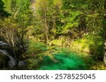 Stream under the Pearl Shoal Waterfall in Jiuzhai Valley National Park, China.