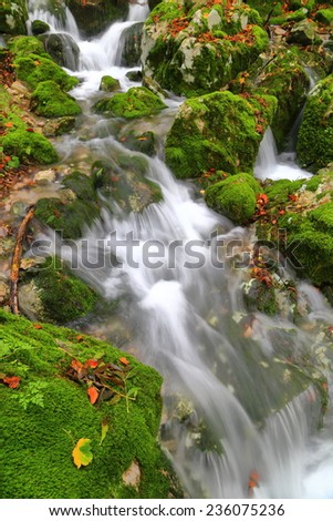 Stream of water amongst green rocks in autumn