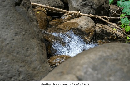 A stream of water is flowing between two large rocks. The water is clear and the rocks are grey