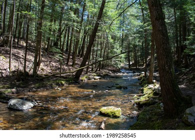 Stream Water Running Over Rocks