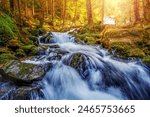 Stream of water rushing through rocks, surrounded by trees. Water appears to be flowing down hillside. Scene is serene and picturesque