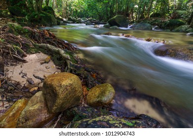 Stream of water from waterfall in the forest