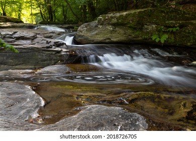 A stream and waterfall flowing through the rocks in the forest.