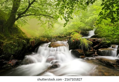 Stream Waterfall In The Forest. Forest River Waterfall. Forest Stream Waterfall. Waterfall Stream In Forest