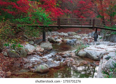 Stream waterfall and Wooden bridge with trees red leaves, rocks and stones in autumn forest at Bangtaesan Mountain,Inje Gangwondo,South Korea.