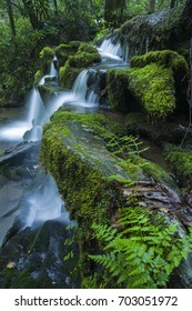 Stream & Waterfalls in Greenbrier in Great Smoky Mountains National Park, TN - Shutterstock ID 703051972