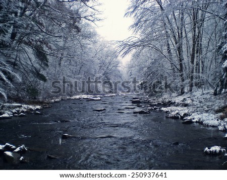 Stream in Winter