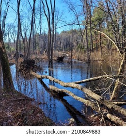 Stream In Winter, Central Massachusetts