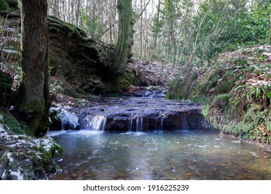 Stream In Winter In Wealden, South Of England