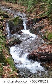 Stream In The Woods