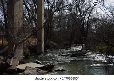 A stream in the woods surrounded by trees