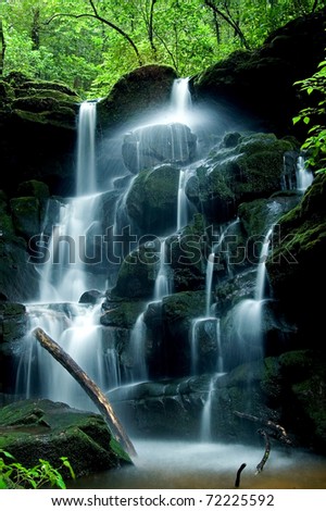 streaming waterfall in national park. small waterfall in Thailand. deep forest brook has green jungle from big tree.The forest protected by forester all time. rainforest cover by bright green moss.
