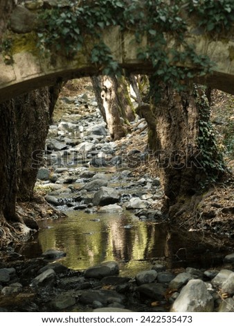 A streamlet flows under an ancient bridge
