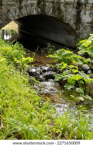 a streamlet under an ancient bridge