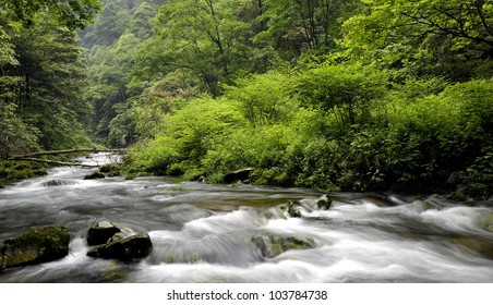 streams