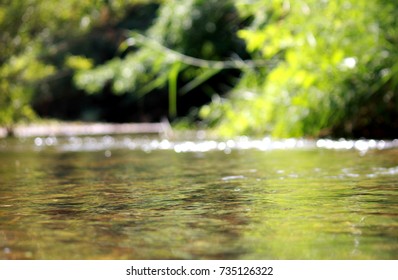 Streams of forest