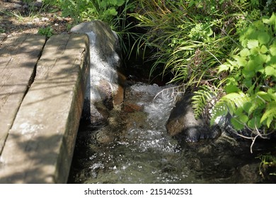 Streams Are Important As Conduits In The Water Cycle, Instruments In Groundwater Recharge, And Corridors For Fish And Wildlife Migration.