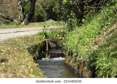 Streams Are Important As Conduits In The Water Cycle, Instruments In Groundwater Recharge, And Corridors For Fish And Wildlife Migration.