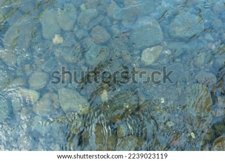 Streams of water between mountain stones in close-up. Beautiful alpine river stream with fast running water and pebbles. Flowing water in a gorgeous scene. Beautiful river rapids.