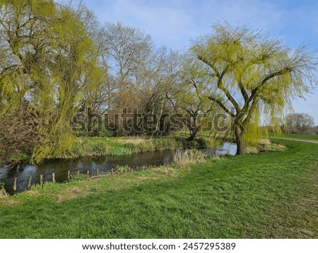 A streamy river with trees and grass under the blue and cloudy sky
