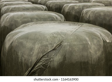 Streched Silage Rolls