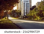 Street with autumn trees at dawn in the city of Curitiba, Brazil.