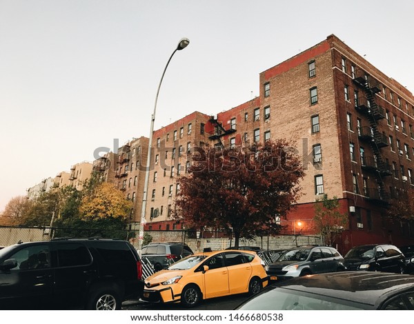 Street of Bronx New York with house, trees and cars,\
autumn 
