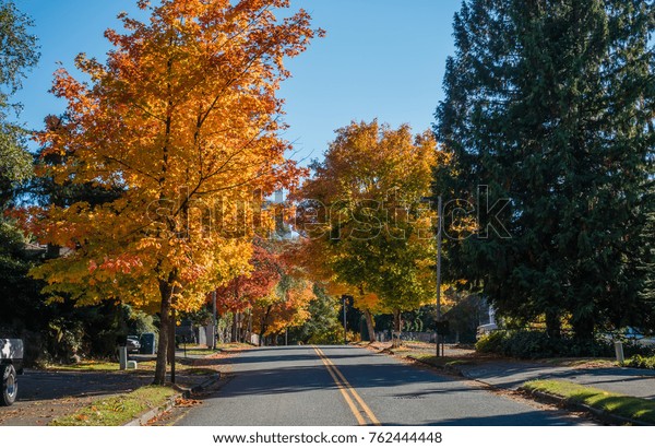 Street Burien Washington Leads Toward Autumn Stock Photo (Edit Now