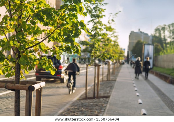 Street in the city\
with trees and a cyclist
