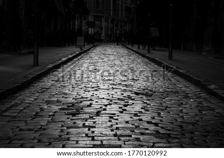 street with cobblestone pattern in black and white