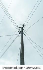 Street Electric Pole With Many Electrical Wires And Fiber Optic Cables