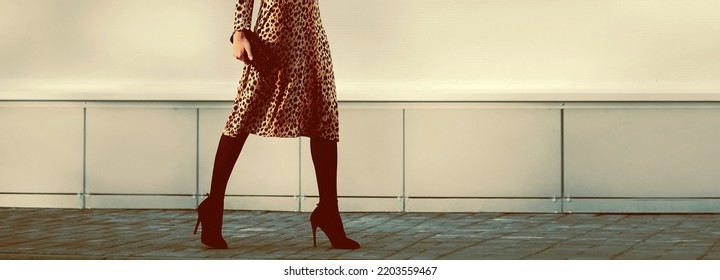 Street Fashion Concept - Stylish Elegant Woman In Leopard Dress On Heels With Clutch Handbag Walking In The City