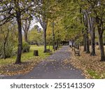 Street at Ferrera park in the city of Aviles, Asturias, Spain, Europe