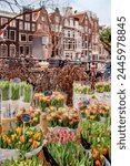 street flower bazaar in Amsterdam. Sale of bouquets on the street. tulip flower shop in early spring in Amsterdam	

