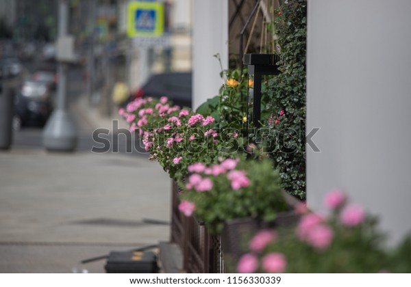 Street Flowers Pots Decorate Wall Facade Stock Photo Edit Now 1156330339