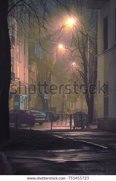 Street with fog lamps\
burning in the fog