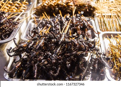 Street Food China Fried Scorpions Insects Stock Photo Shutterstock