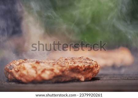 Street food, cooking meat. A very narrow focal point on a patty being grilled at a picnic.