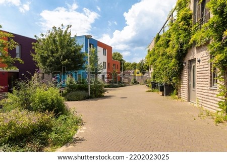 Street with green nature in the city with plants, greenery, flowers and overgrown residential colorful green, blue and red houses. Biophilic healthy living, plant garden
