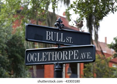 Street Intersection In Savannah, GA