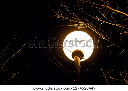 Similar – Image, Stock Photo Winter romance at night