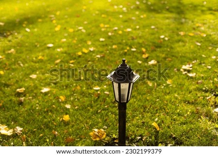street lamp, autumn leaves in the Park