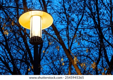 Image, Stock Photo Street light in dark night