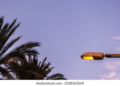 A street lamp emits a warm glow as it contrasts against a palm tree and soft purple sky in Fuerteventura, capturing a peaceful evening moment. - Powered by Shutterstock