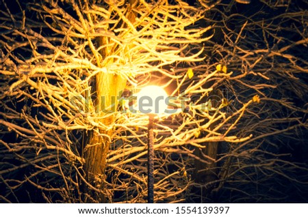 Similar – Image, Stock Photo Winter romance at night