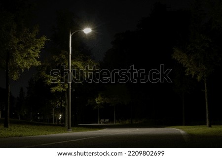 A street lamp lighting up the darkness alone on a dark park walk